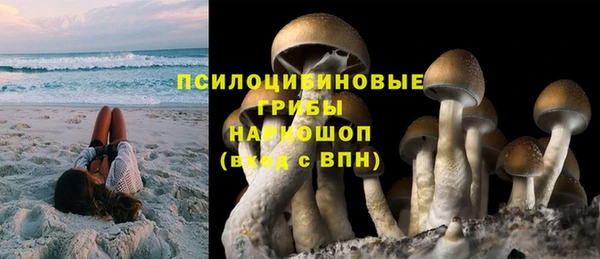 MDMA Premium VHQ Краснослободск