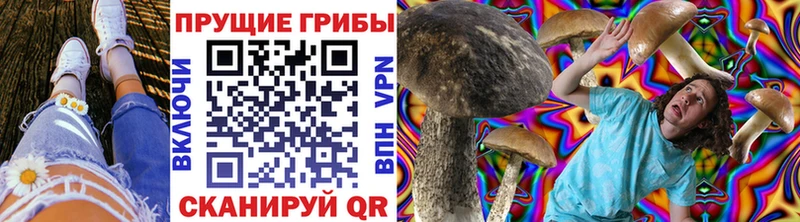 дарк нет формула  Хабаровск  Псилоцибиновые грибы GOLDEN TEACHER  mega ONION 